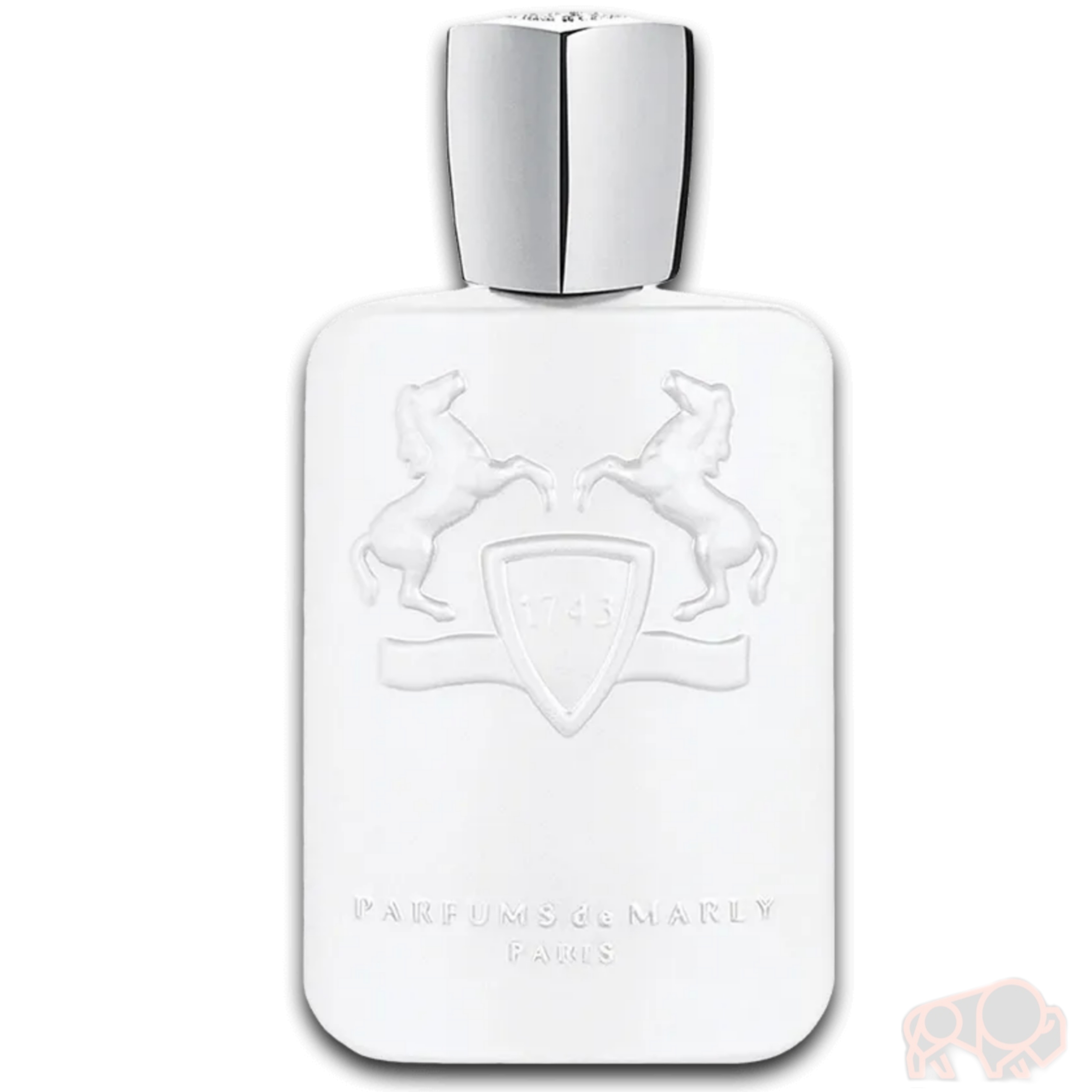 عطر پرفیوم  مارلی گالووی غلظت های متفاوت در حجم 50 و 100 میل